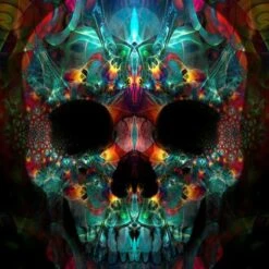 Broderie Diamant <br> Crâne Psychédélique
