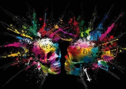 Broderie Diamant <br> Crânes Explosion