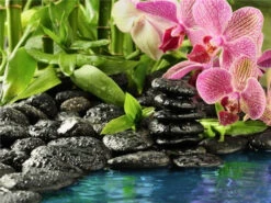 Broderie Diamant <br> Eau Calme Et Ambiance Zen