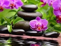 Broderie Diamant <br> Eau Douce, Galets Et Orchidées Zen