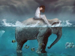 Broderie Diamant <br> Éléphant D'Eau