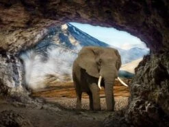 Broderie Diamant <br> Éléphant Dans La Grotte