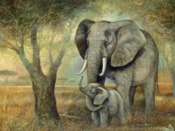 Broderie Diamant <br> Éléphant Et Bébé