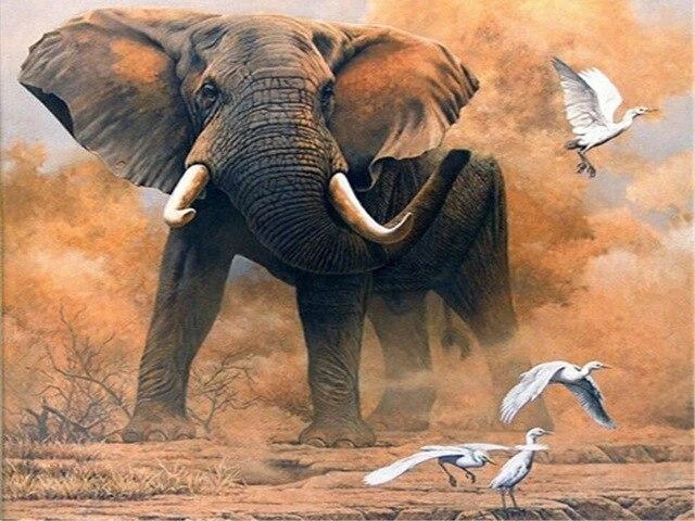 Broderie Diamant <br> Éléphant Et Oiseaux 3 Broderie Diamant <br> Éléphant Et Oiseaux