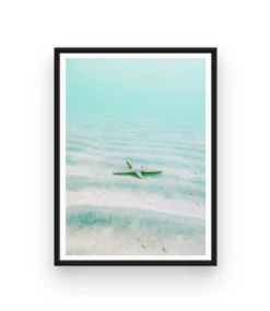 Atelier Broderie Diamant -Atelier Broderie Diamant broderie diamant etoile de mer cadre atelier broderie diamant