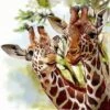 Broderie Diamant <br> Famille Girafe
