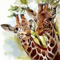 Broderie Diamant <br> Famille Girafe
