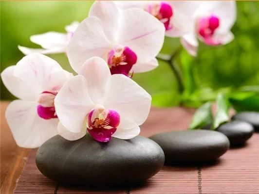 Broderie Diamant <br> Galet Et Orchidée Zen 3 Broderie Diamant <br> Galet Et Orchidée Zen