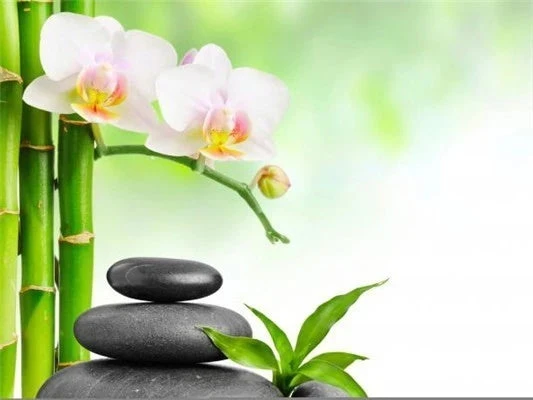 Broderie Diamant <br> Galets Et Orchidées Zen 3 Broderie Diamant <br> Galets Et Orchidées Zen