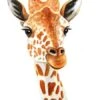 Broderie Diamant <br> Girafe Africaine