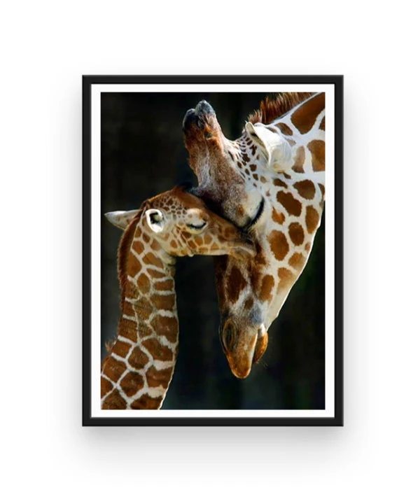 Broderie Diamant <br> Girafe Et Bébé 4 Broderie Diamant <br> Girafe Et Bébé – Image 2