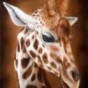 Broderie Diamant <br> Girafe Portrait -Atelier Broderie Diamant broderie diamant girafe portrait atelier broderie diamant