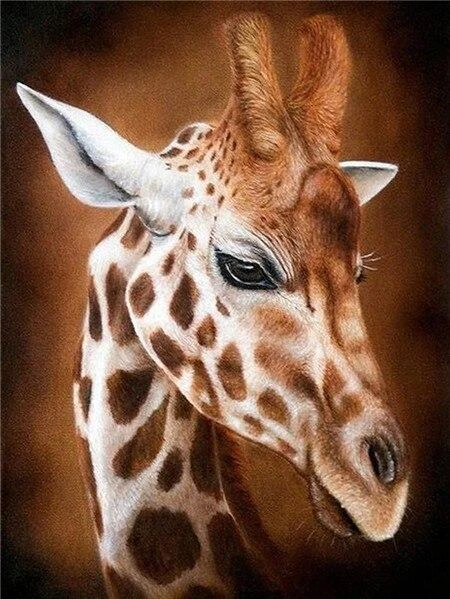 Broderie Diamant <br> Girafe Portrait 3 Broderie Diamant <br> Girafe Portrait