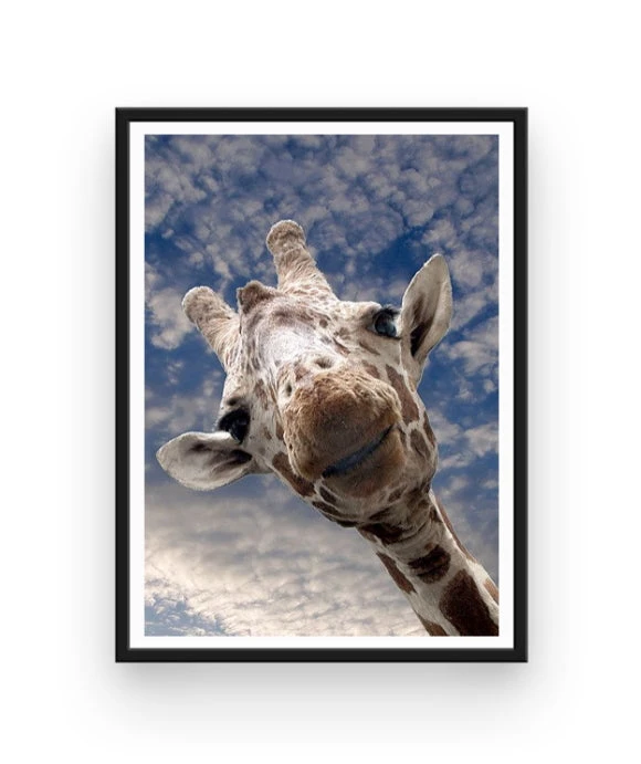 Broderie Diamant <br> Girafe Rigolote 4 Broderie Diamant <br> Girafe Rigolote – Image 2