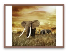 Broderie Diamant <br> Groupe D'Éléphant -Atelier Broderie Diamant broderie diamant groupe elephant cadre atelier broderie diamant