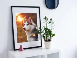 Broderie Diamant <br> Husky Au Coucher De Soleil -Atelier Broderie Diamant broderie diamant husky au coucher de soleil decor atelier broderie diamant