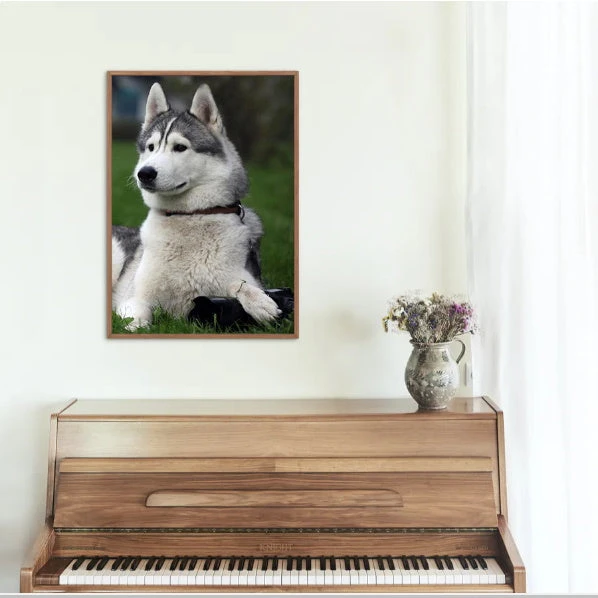 Broderie Diamant <br> Husky Et Verdure 5 Broderie Diamant <br> Husky Et Verdure – Image 3