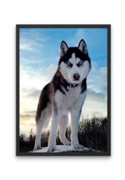 Broderie Diamant <br> Husky Sauvage -Atelier Broderie Diamant broderie diamant husky sauvage cadre atelier broderie diamant