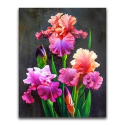 Broderie Diamant <br> Iris Roses