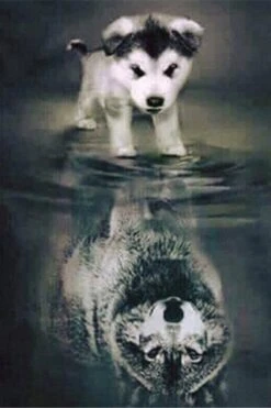 Broderie Diamant <br> Jeune Loup Deviendra Grand