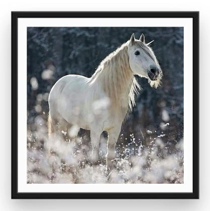 Broderie Diamant <br> Licorne Réaliste 4 Broderie Diamant <br> Licorne Réaliste – Image 2