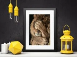 Broderie Diamant <br> Lion Visage Caché -Atelier Broderie Diamant broderie diamant lion visage cache decor atelier broderie diamant