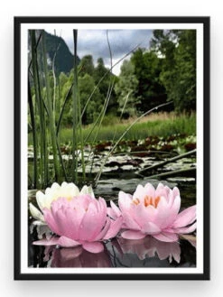 Atelier Broderie Diamant -Atelier Broderie Diamant broderie diamant lotus rosatres cadre atelier broderie diamant