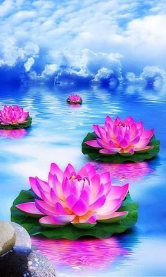 Broderie Diamant <br> Lotus Roses