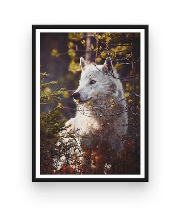 Broderie Diamant <br> Loup Et Forêt 4 Broderie Diamant <br> Loup Et Forêt – Image 2