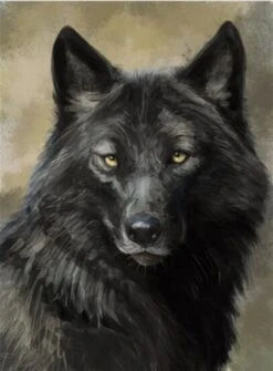 Broderie Diamant <br> Loup Noir