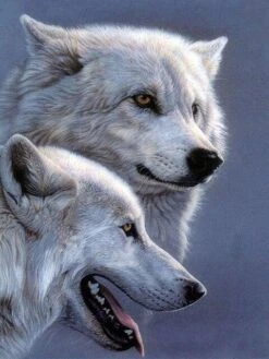 Broderie Diamant <br> Loups Blancs Alpha