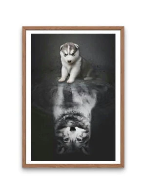 Broderie Diamant <br> Louveteau Assis Face à Son Reflet 4 Broderie Diamant <br> Louveteau Assis Face à Son Reflet – Image 2