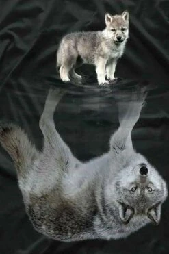 Broderie Diamant <br> Louveteau Et Son Reflet