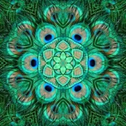 Broderie Diamant <br> Mandala Paon