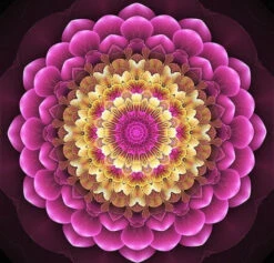 Broderie Diamant <br> Mandala Pétales De Roses