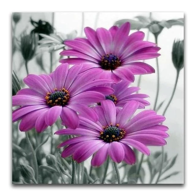 Broderie Diamant Marguerite Violette