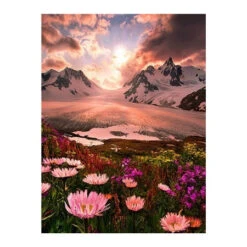 Broderie Diamant <br> Montagnes Enneigées Et Fleurs