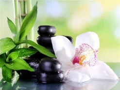 Broderie Diamant <br> Orchidée Blanche Zen