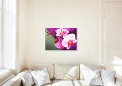 Broderie Diamant <br> Orchidée Naissante -Atelier Broderie Diamant broderie diamant orchidee naissante decor atelier broderie diamant