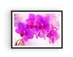 Atelier Broderie Diamant -Atelier Broderie Diamant broderie diamant orchidee rose cadre atelier broderie diamant