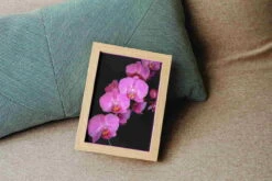 Broderie Diamant <br> Orchidée Sur Fond Noir -Atelier Broderie Diamant broderie diamant orchidee sur fond noir decor atelier broderie diamant