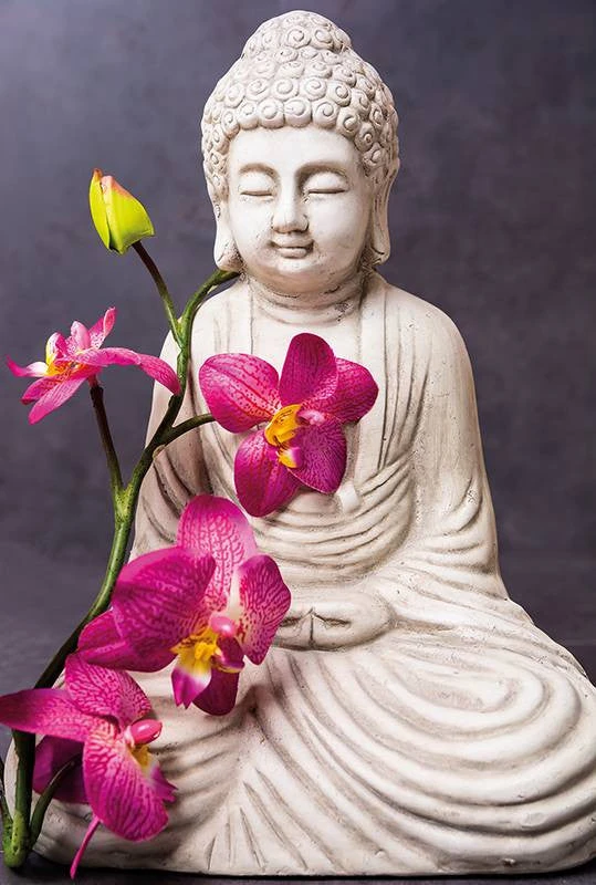 Broderie Diamant <br> Orchidées & Bouddha 3 Broderie Diamant <br> Orchidées & Bouddha