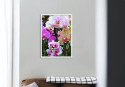 Broderie Diamant <br> Orchidées Multicolore -Atelier Broderie Diamant broderie diamant orchidees multicolores decor atelier broderie diamant