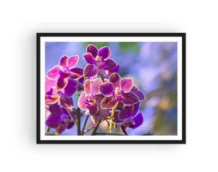 Broderie Diamant <br> Orchidées Photographie 4 Broderie Diamant <br> Orchidées Photographie – Image 2