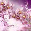 Broderie Diamant <br> Orchidées Rafraichissantes