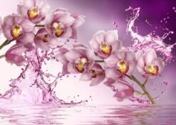 Broderie Diamant <br> Orchidées Rafraichissantes