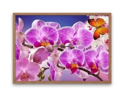 Atelier Broderie Diamant -Atelier Broderie Diamant broderie diamant orchidees rayees cadre atelier broderie diamant d5884271 56f4 4743 af6d 82b95041edaa