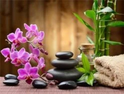 Broderie Diamant <br> Orchidées Roses Et Galets Zen