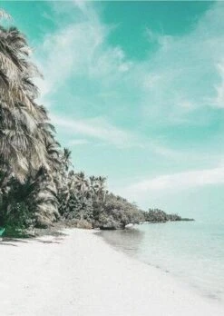 Broderie Diamant <br> Paysage Tropical