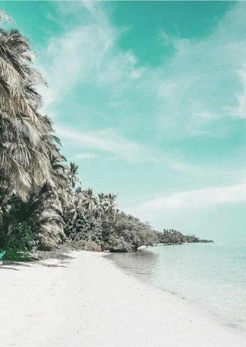 Broderie Diamant <br> Paysage Tropical